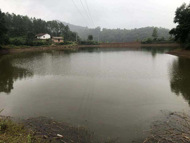 暴雨过后防治鱼病