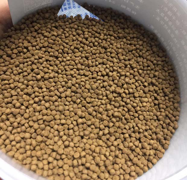 罗非鱼越冬期的饲养管理方法