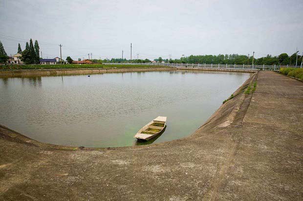 罗非鱼池塘底泥处理技术